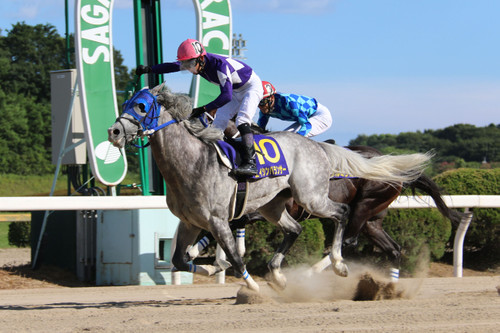 20180814__ 20180814__